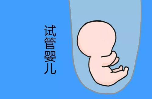 Dr. Zhang